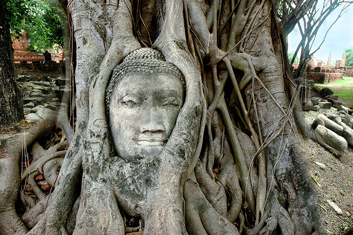 Ayutthaya - Wat Mahatad